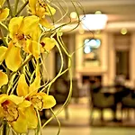 Enastron View Hotel 4*