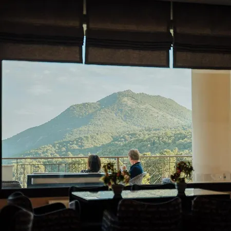Enastron View Hotel