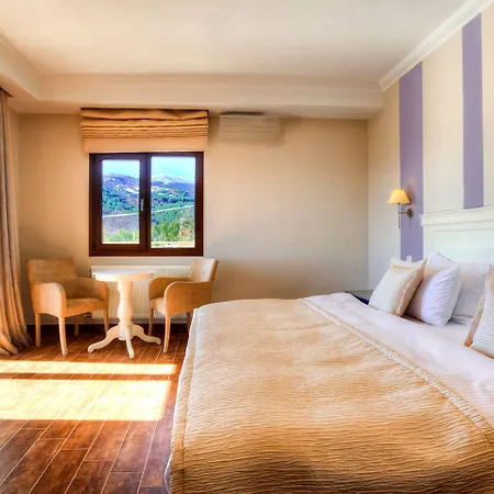 Enastron View Hotell