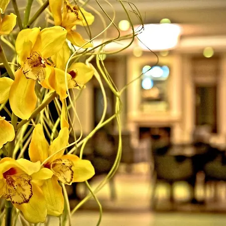 Enastron View Отель 4*