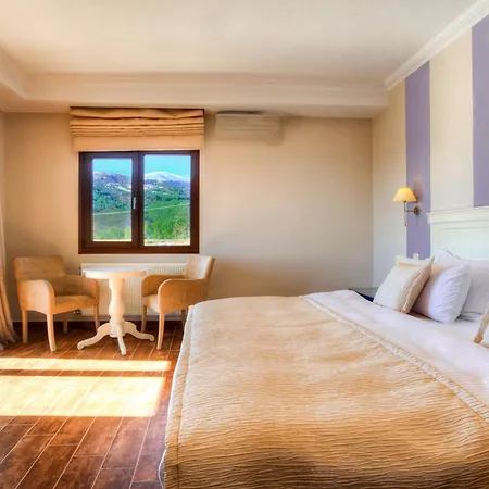 Enastron View 4*