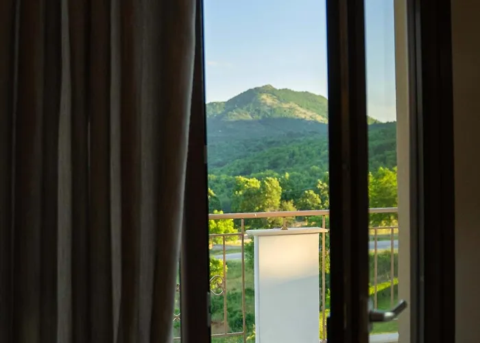 Enastron View Hotel