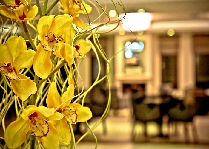 Enastron View Hotel 4*